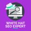 White Hat SEO Expert